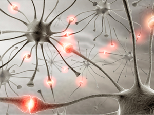 Perfect Memory & Hyperthymesia Perfect Memory & Hyperthymesia