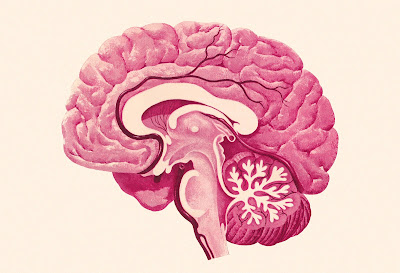 What is Hyperthymestic Syndrome What is Hyperthymestic Syndrome