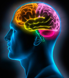 Fictional Characters with Hyperthymesia Fictional Characters with Hyperthymesia
